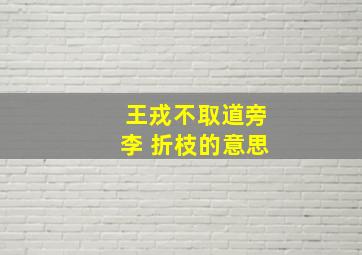 王戎不取道旁李 折枝的意思